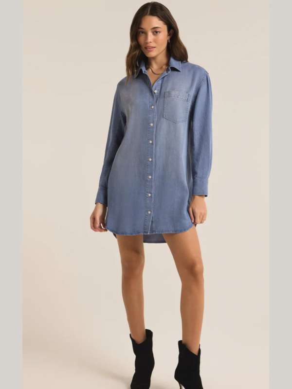 Z Supply Dover Chambray Mini Dress